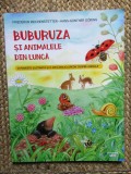 Buburuza si animalele din lunca - Friederun Reichenstetter, Hans-Gunther Doring