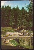 CPIB 22915 - CARTE POSTALA - TIMISUL DE SUS. CABANA TIMIS, MOTORETA, MOCICLETA, Circulata, Fotografie