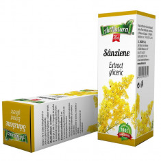 Extract gliceric de sanziene cu flori galbene, 50ml, AdNatura