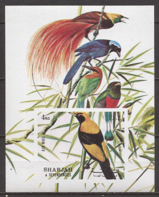 SHARJAH FAUNA PASARI ( colita nedantelata ) MNH foto