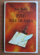 Ion Bulei - 1916 zile de vara foto