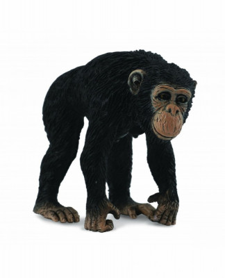 Cimpanzeu Femela - Animal figurina foto
