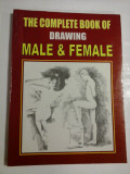 Cumpara ieftin THE COMPLETE BOOK OF DRAWING MALE &amp; FEMALE - Artist Keshaw Kumar - Printed at Offset Press New Delhi, 2008