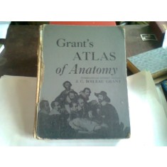 AN ATLAS OF ANATOMY - J.C. BOILEAU GRANT