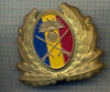 Y 1523 INSIGNA-MILITARA-EMBLEMA COIFURA- TRUPELE DE USCAT -PENTRU COLECTIONARI