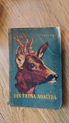 DIN FAUNA NOASTRA - IONEL POP foto