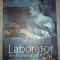 Laborator (Restaurarea picturilor vechilor maeştri)
