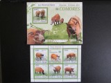 COMORES FAUNA ANIMALE MNH=70, Nestampilat