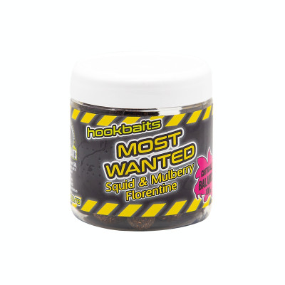 Secret Baits Most Wanted Critically Balanced Soluble foto