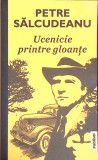 UCENICIE PRINTRE GLOANTE-PETRE SALCUDEANU-274787