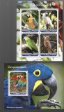 niger pasari mnh