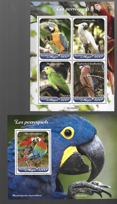 niger pasari mnh
