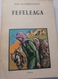 Ion agarbiceanu-fefeleaga
