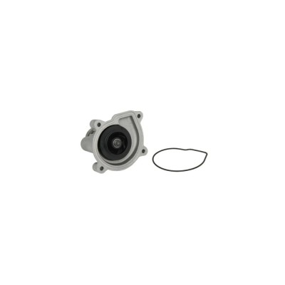 Pompa apa VW EOS 1F7 1F8 AIRTEX 1817 foto