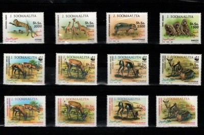 SOMALIA 1992 WWF ANIMALE SALBATICE foto