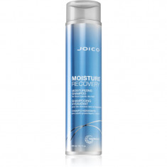 Joico Moisture Recovery sampon hidratant pentru par uscat 300 ml