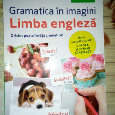 Gramatica in imagini Limba Engleza Pons Litera