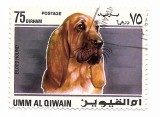 Umm al Qiwain - Caini, 1967 - 75 Dh, obliterat