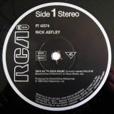 Rick Astley - Take Me To Your Heart (Vinyl)