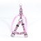 HAM PENTRU CAINI NYLON MOL CU MODEL PINK CLICK 10MM 22-40CM L2602.10040A