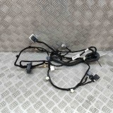 Cablaj ușă st&acirc;nga spate FORD USA Mustang Mach-E 2022 OEM: LJ8T-14633-NBG 22749942