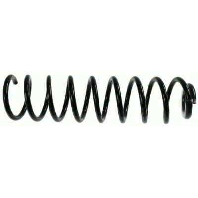 Sachs Arc spiral foto