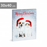 Tablou de Crăciun cu LED - 40 x 30 cm, Family Pound