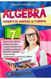 Algebra, culegere de exercitii si probleme - Clasa 7 - Nicolae Ivaschescu