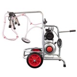 Cumpara ieftin Aparat de muls vaci cu 1 post si loc de 1 bidon