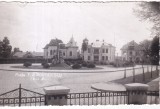 Piata T. Vladimirescu. Trg. Jiu (necirculata)