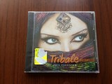 phil thornton tribale album 2015 cd disc muzica electronic new age african tribal ambient chillout New World Music &lrm;sigilat nou