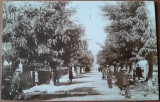 Carte postala, Vaslui Bulevardul Kogalniceanu, perioada interbelica