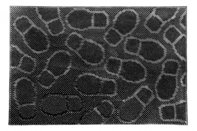 COVORAS INTRARE ANTIDERAPANT CAUCIUC 40X60CM,DIVERSE MODELE,VANORA HOME(mix 5 modele,10 buc/bax,2 foto