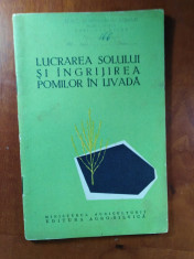 LUCRARILE SOLULUI ?I INGRIJIREA POMILOR IN LIVADA foto