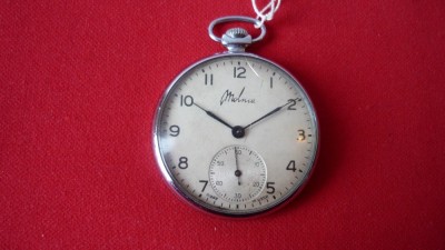 CEAS DE BUZUNAR MOLNIA foto