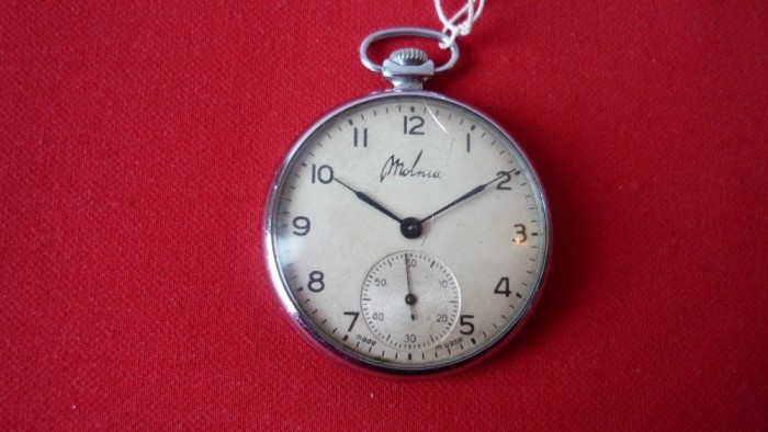 CEAS DE BUZUNAR MOLNIA