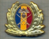 Y 1563 INSIGNA-MILITARA-EMBLEMA COIFURA- TRUPELE DE USCAT -PENTRU COLECTIONARI