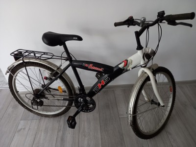 Bicicleta DH5 Sport foto