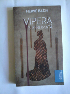 VIPERA SUGRUMATA - HERVE BAZIN foto