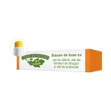 BALSAM BUZE CATINA 4.8GR, MANICOS