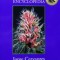 The Cannabis Encyclopedia: The Definitive Guide to Cultivation &amp; Consumption of Medical Marijuana