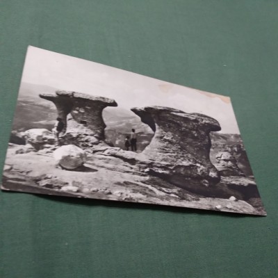 CARTE POSTALA CIRCULATA -MUNTII BUCEGI-BABELE foto