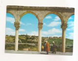 FA116 -Carte Postala- ISRAEL - Jerusalem. The mount of Olives, circulata