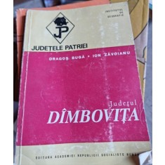 Dragos Buga - Dambovita