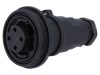 Conector Circular Mamă BULGIN 4-PIN IP68 Standard Buccaneer, Poliamida, Montare Cablu UL94-V0
