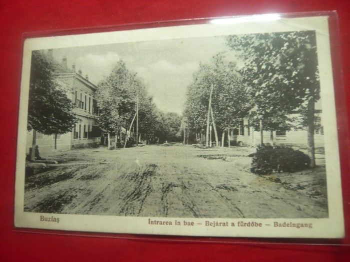 Ilustrata Buzias -&quot; Intrarea in Bae&quot; - circ. 1925