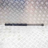 Amortizor capota st&acirc;nga față MINI CABRIO R52 2007 OEM: 7175020 13934193