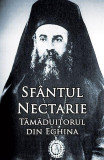 Sf&acirc;ntul Nectarie Tămăduitorul din Eghina - Paperback brosat - *** - Ortodoxia