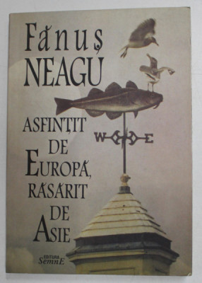 ASFINTIT DE EUROPA , RASARIT DE ASIE de FANUS NEAGU , 2004 foto