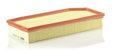 MANN-FILTER C 38 145 Filtru aer foto